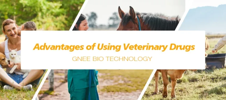 Advantages of Veterinary Drugs for Animal Health