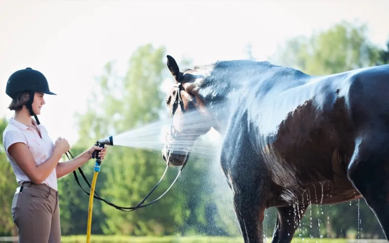 Washing