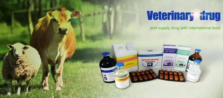 What is Veterinary Drug?