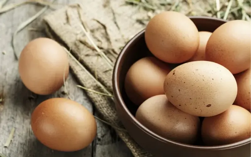eggs