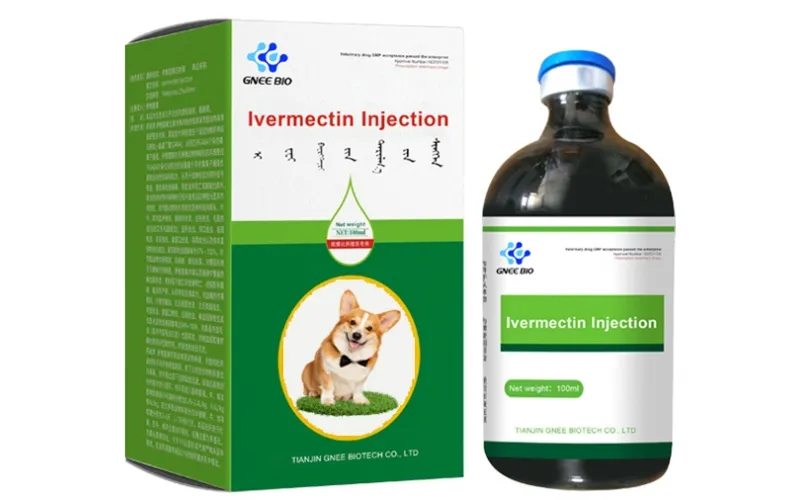 Injectable Ivermectin for Dogs