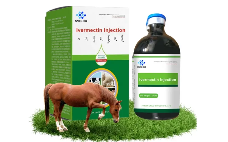 Injectable-Ivermectin-for-Horses