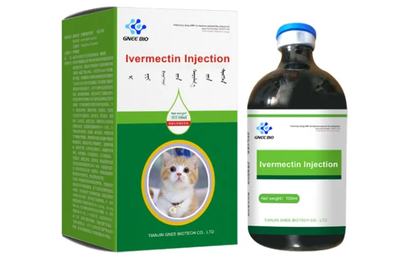 Ivermectin Injection for Cats