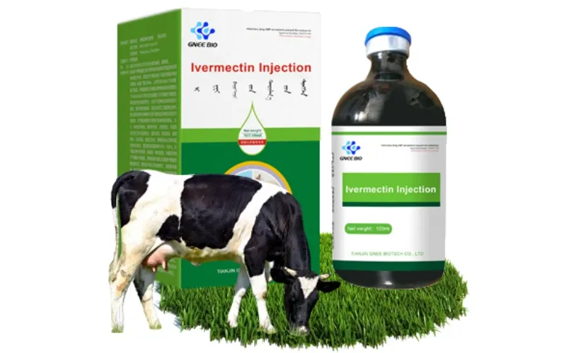 Ivermectin Injection for Cattle