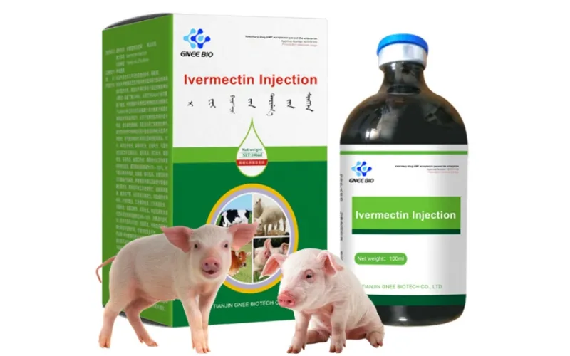 Ivermectin Injection for Pigs