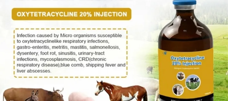 Oxytetracycline Injection in Animal Uses