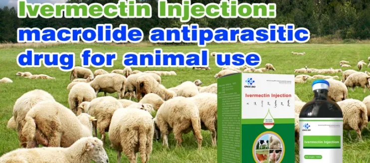 What Is Ivermectin Injection?