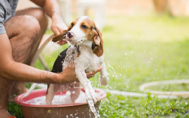 Skin Washing