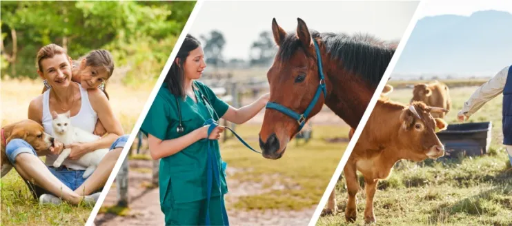 9 Benefits of Using Oxytetracycline in Veterinary Medicine