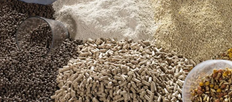 How to Control Mycotoxins in Animal Feeds?