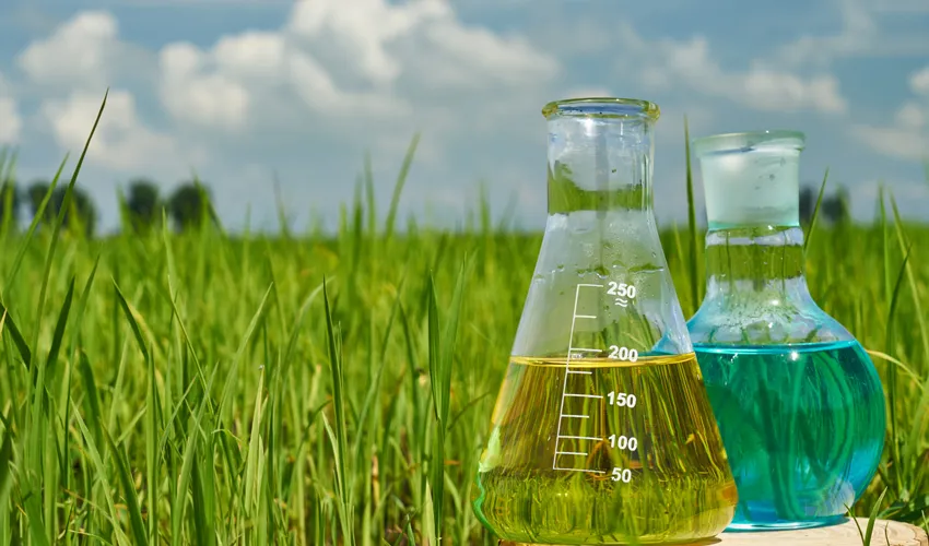 Pharmaceutical & Agrochemical Industry
